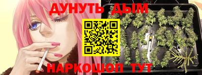 ГАЛЛЮЦИНОГЕННЫЕ ГРИБЫ Гатчина