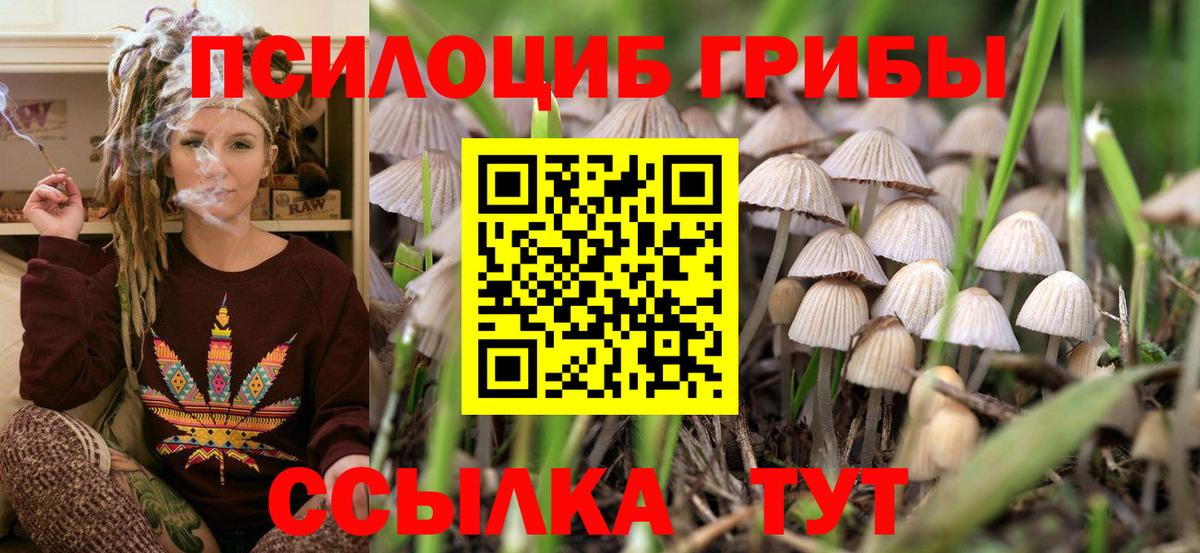 Муравленко  Псилоцибиновые грибы Cubensis  Галлюциногенные грибы Cubensis  Вход с VPN 